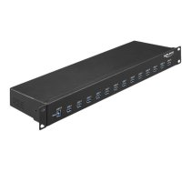 Delock - hub - 13 ports - rack-mountable (64039 Delock)