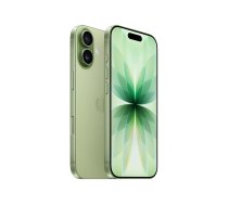 Apple iPhone 17 - sage - 5G smartphone - 512 GB - GSM MG6V4HX/A
