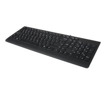 Lenovo 300 - keyboard - US Input Device GX30M39655