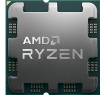 AMD Ryzen 7 7800X3D / 4.2 GHz processor - OEM 100-000000910