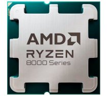 AMD Ryzen 5 8600G / 4.3 GHz processor - OEM 100-000001237