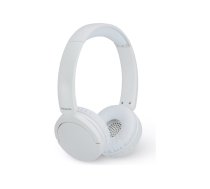 Panasonic RB-HF630BE - headphones with mic RB-HF630BE-W