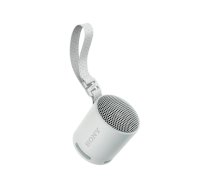 Sony SRS-XB100 - speaker - for portable use - wireless SRSXB100H.CE7