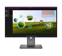 Lenovo ThinkVision P27Q-40 - LED monitor - QHD - 27" 64A7GAT6EU