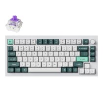Keychron Q1 HE - keyboard - QMK custom, fully assembled knob - 75% - shell white Input Device Q1H-P1