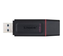 Kingston DataTraveler Exodia - USB flash drive - 256 GB DTX/256GB