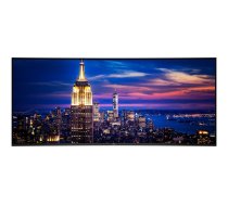 Dell UltraSharp U5226KW - LED monitor - 6K - 52" 210-BTFW