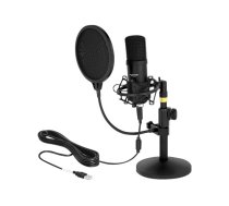 Delock Professional USB Condenser Microphone Set for Podcasting and Gaming - microphone 66300