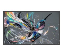 Philips 55BDL3511Q Q-Line - 55" Class (54.6" viewable) LED-backlit LCD display - 4K - for digital signage 55BDL3511Q/00