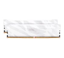 Crucial Pro OC - DDR5 - kit - 32 GB: 2 x 16 GB - DIMM 288-pin / PC5-51200 - unbuffered CP2K16G64C32U5W
