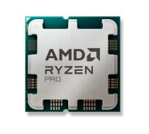 AMD Ryzen 3 Pro 8300G / 3.4 GHz processor - OEM 100-000001187