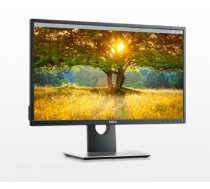 Dell Professional P2417H IPS