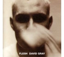CD David Gray - Flesh