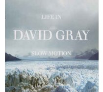 CD David Gray - Life In Slow Motion