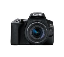 Fotokamera Reflex Canon EOS 250D + EF-S 18-55mm f/4-5.6 IS STM