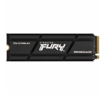 Kingston Fury Renegade Heatsink SSD 500GB