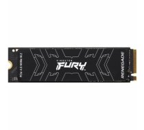 Kingston Fury Renegade SSD 1TB