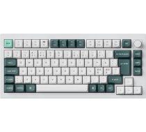 Keychron Q1 HE 75% mechanical keyboard, Gateron Double-Rail switches, white (Q1H-P1-BO) (Q1H-P1-BO)