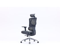 Sihoo M90C ergonomic office chair, black ()