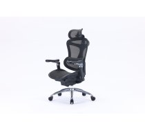 Sihoo Doro C300 ergonomic office chair, black ()