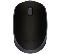 LOGITECH Wireless Mouse M171 - EMEA - BLACK (910-004424)