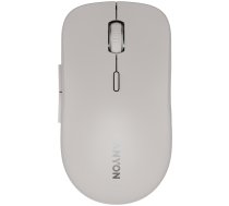CANYON mouse MW-12 Dual-band Wireless grey (CNS-CMSW12DG)