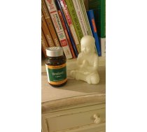 Barhmi atmiņai, koncentrācijai BRAHMI HERBALS DIET 120 tab