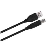 Gembird 3m USB 2.0 A/B M USB kabelis USB A USB B Melns