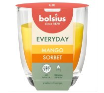 Aromātiskā svece stikla pudelē, Ikdienas sērija Ø80x70mm Mango Sorbets
