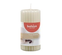 True Scents aromātiskā svece cilindrs Ø120x58mm Vanilja
