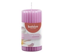 Smaržīga svece cilindrs True Scents Ø120x58mm Magnolija