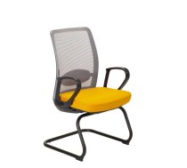 Apmeklētāju krēsls ANGGUN dzeltens / pelēks