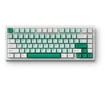 Klaviatūra MCHOSE G75 PRO (Balta/Zaļa) - MCHOSE Matcha Latte V2 Slēdži