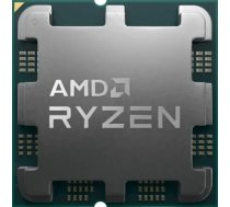 Ryzen 7 7800X3D 100-000000910 Tray - 100-000000910 - 6910013490719