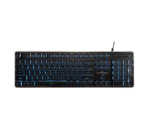 White Shark GK-003141 Tachi Black US