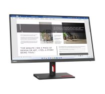 Lenovo ThinkVision S27i-30 Monitor (63DFKAT4EU) Grey