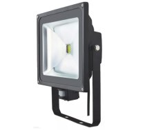 LED prožektors ar sensoru ZEXT 50W 3100lm 6400K IP65 C06-MH05-LED-PIR-64