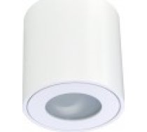 ECOLIGHT2 Eco Light griestu lampa EC79971 punktveida 1x35W GU10 balta [Lampa sufitowa spot]