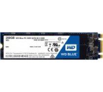 WD Blue 250GB M.2 2280 SATA?III SSD (WDS250G1B0B) [Dysk SATA III]