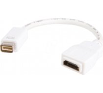 AV StarTech DVI Mini?— HDMI adapteris balts (MDVIHDMIMF) [Adapter Mini]