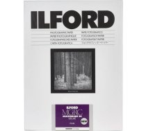 Ilford 1x100 Ilford MG RC DL 44M 10,5x14,8