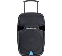 Blaupunkt Audio system PA15 PLL Karaoke