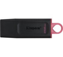 Kingston MEMORY DRIVE FLASH USB3.2/256GB DTX/256GB KINGSTON