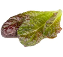 Click & Grow Smart Garden Refill Red romaine lettuce 3pcs | SGR94X3 | 4742793003672 | 237190