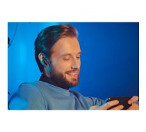 Panasonic wireless earbuds RZ-B210WDE-K, black | RZ-B210WDE-K | 5025232920839 | 223475