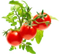 Click & Grow Smart Garden refill Mini Tomato 3pcs | SGR5X3 | 4742793007304 | 78390