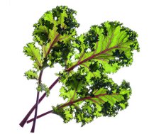 Click & Grow Smart Garden refill Red Kale 3pcs | SGR47X3 | 4742793008752 | 83233