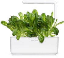Click & Grow Smart Garden refill Romaine Lettuce 3pcs | SGR50X3 | 4742793008820 | 86879