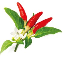 Click & Grow Smart Garden refill Red Hot Chili Pepper 3pcs | SGR52X3 | 4742793008943 | 90227