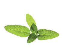 Click & Grow Smart Garden refill Sage 3pcs | SGR7X3 | 4742793007328 | 92530